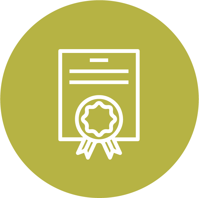 Cursos virtuales y programas de formación