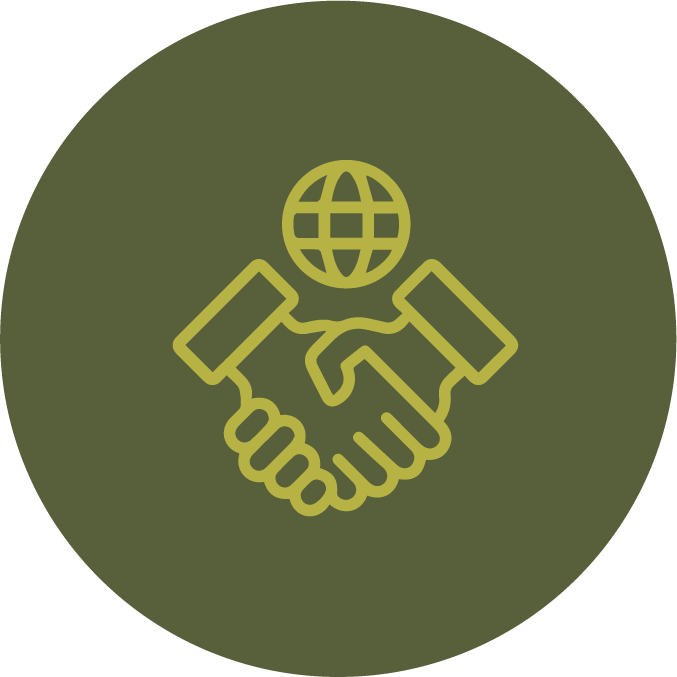 Mentoría para empresas