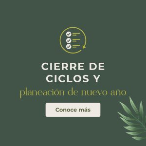 Navidad sana y un cierre de año consciente