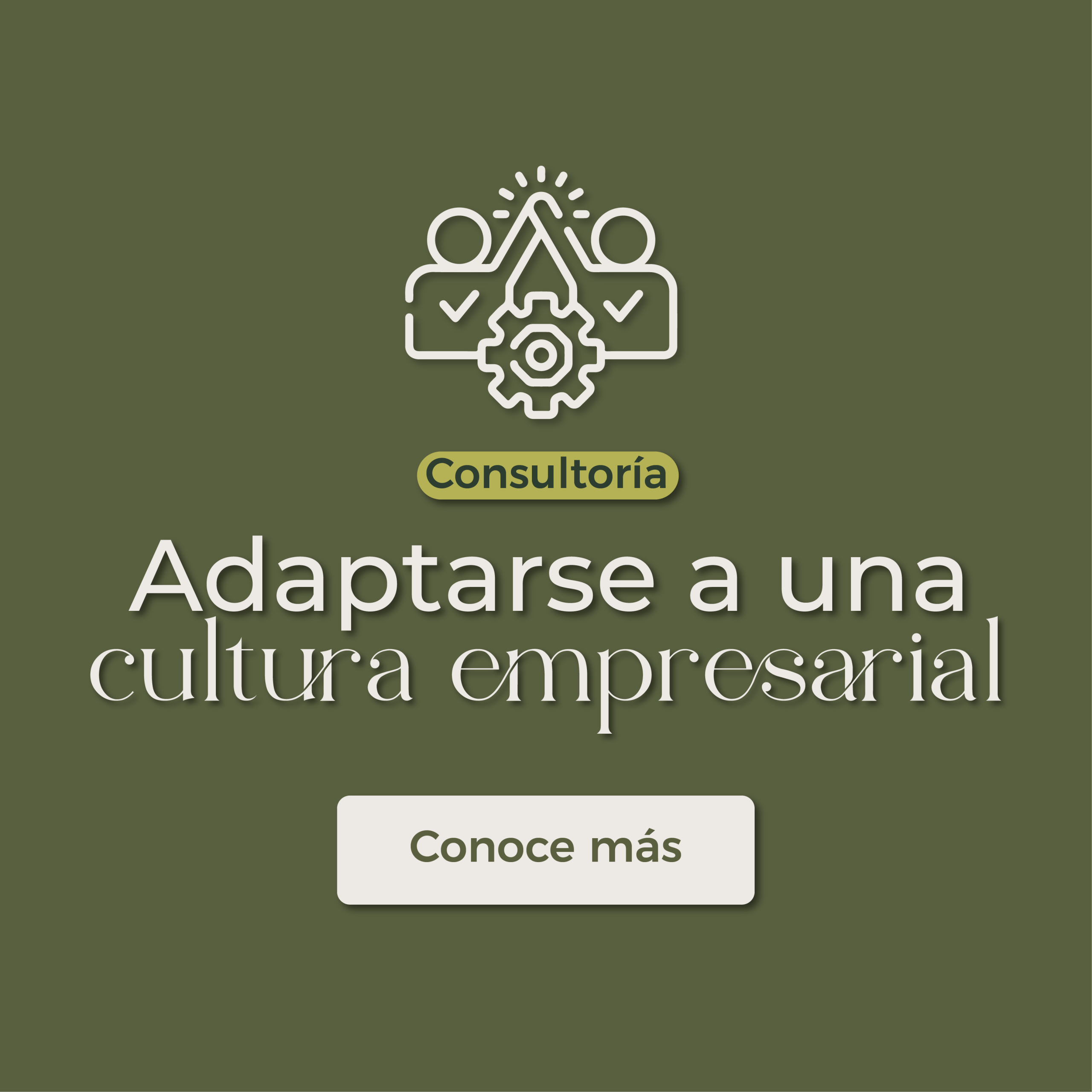 Consultoría: Cómo entender, adaptarte y fluir dentro de una cultura organizacional