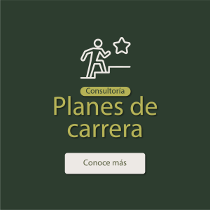Consultoría: Cómo lograr planes de carrera exitosos